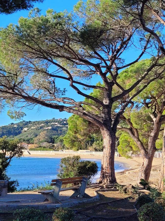 Villa Palm' Issambres 6-7 Personnes, Clim, Avec Piscine, Jardin Et Parking Prives La Garonnette-Plage المظهر الخارجي الصورة