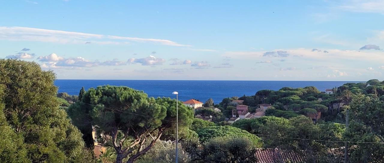 Villa Palm' Issambres 6-7 Personnes, Clim, Avec Piscine, Jardin Et Parking Prives La Garonnette-Plage المظهر الخارجي الصورة