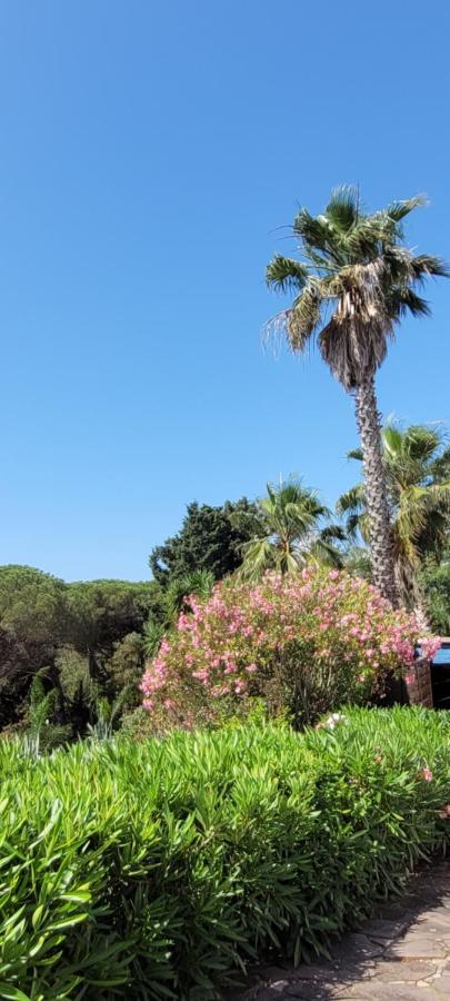 Villa Palm' Issambres 6-7 Personnes, Clim, Avec Piscine, Jardin Et Parking Prives La Garonnette-Plage المظهر الخارجي الصورة