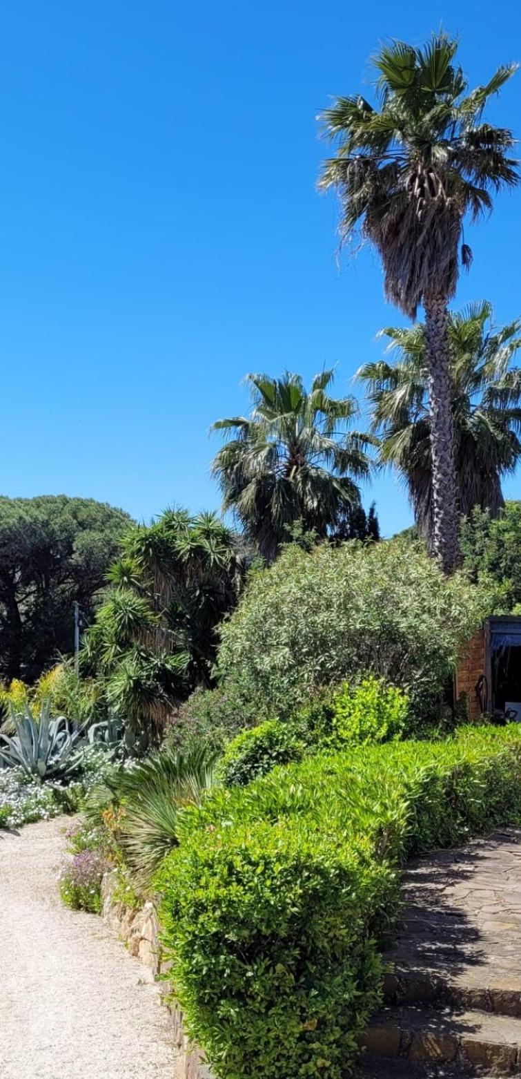 Villa Palm' Issambres 6-7 Personnes, Clim, Avec Piscine, Jardin Et Parking Prives La Garonnette-Plage المظهر الخارجي الصورة